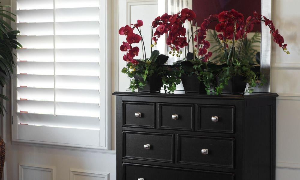 Best Ways to Clean Your Plantation Shutters